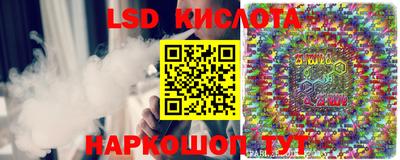 apvp Канаш